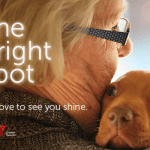 The health benefits of pets